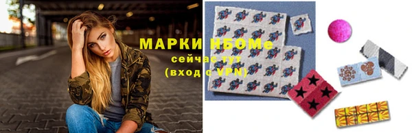 стафф Корсаков