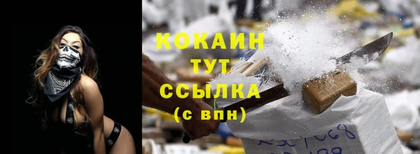 стафф Корсаков