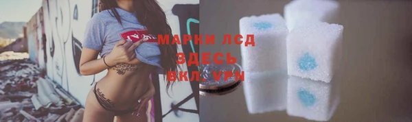 стафф Корсаков