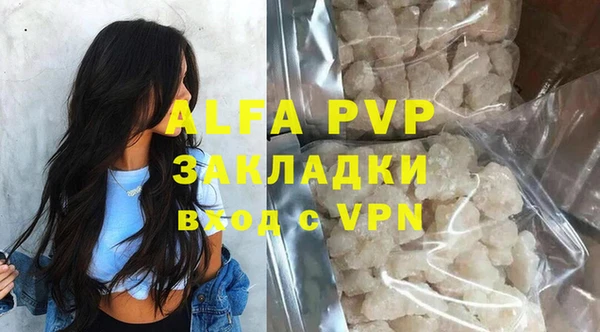 прущие грибы Козельск
