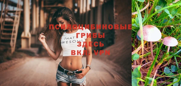 стафф Корсаков