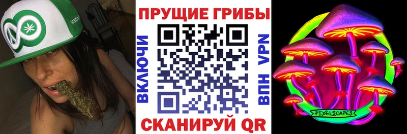 Купить  Кушва  Псилоцибиновые грибы Cubensis 