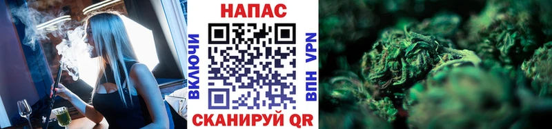 Бошки марихуана планчик  Купить  Кушва 